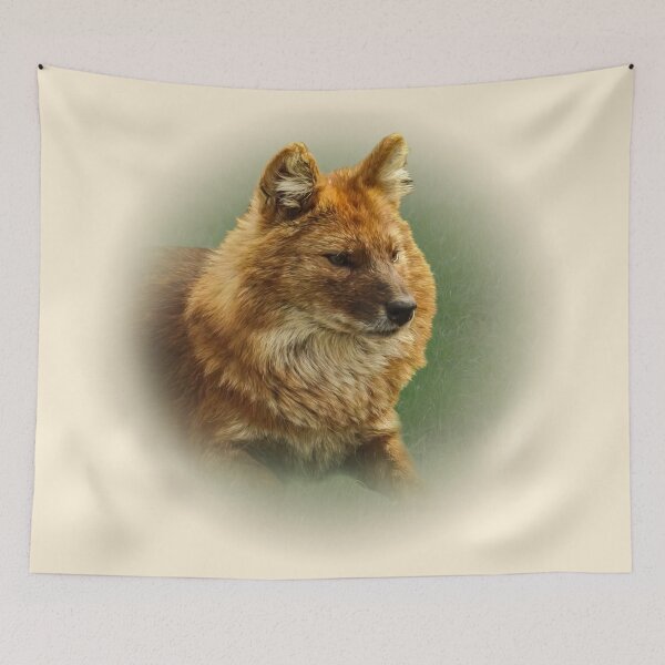 Item preview, Dhole-asian wild dog designed and sold by Guardi71.