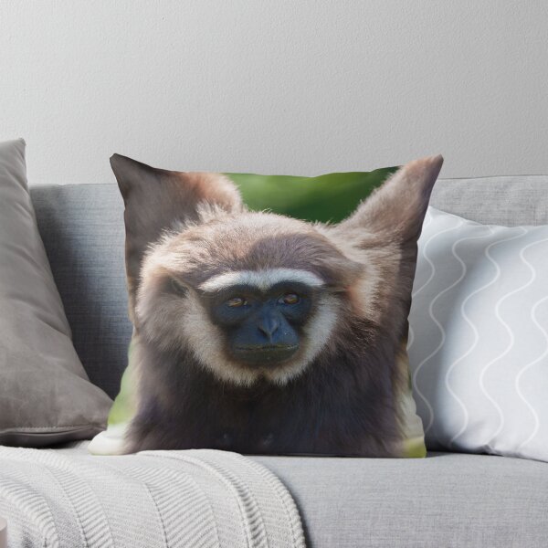 Item preview, Close-Up of a Hanging Gibbon designed and sold by rawshutterbug.
