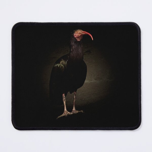 Item preview, Northern bald ibis designed and sold by Guardi71.