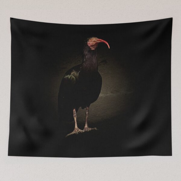 Item preview, Northern bald ibis designed and sold by Guardi71.