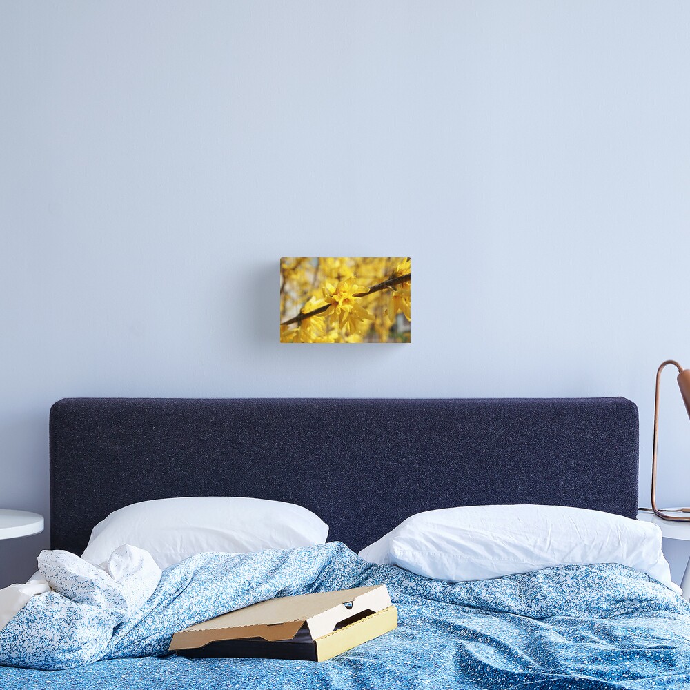 Light Canvas Print