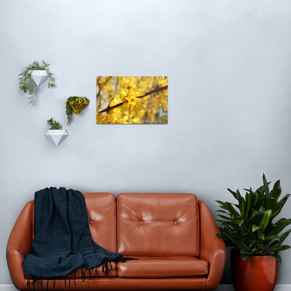 Light Metal Print