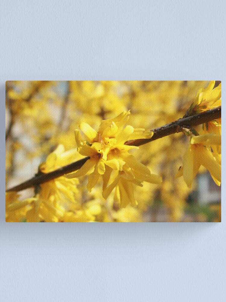 Alternate view of Light Canvas Print