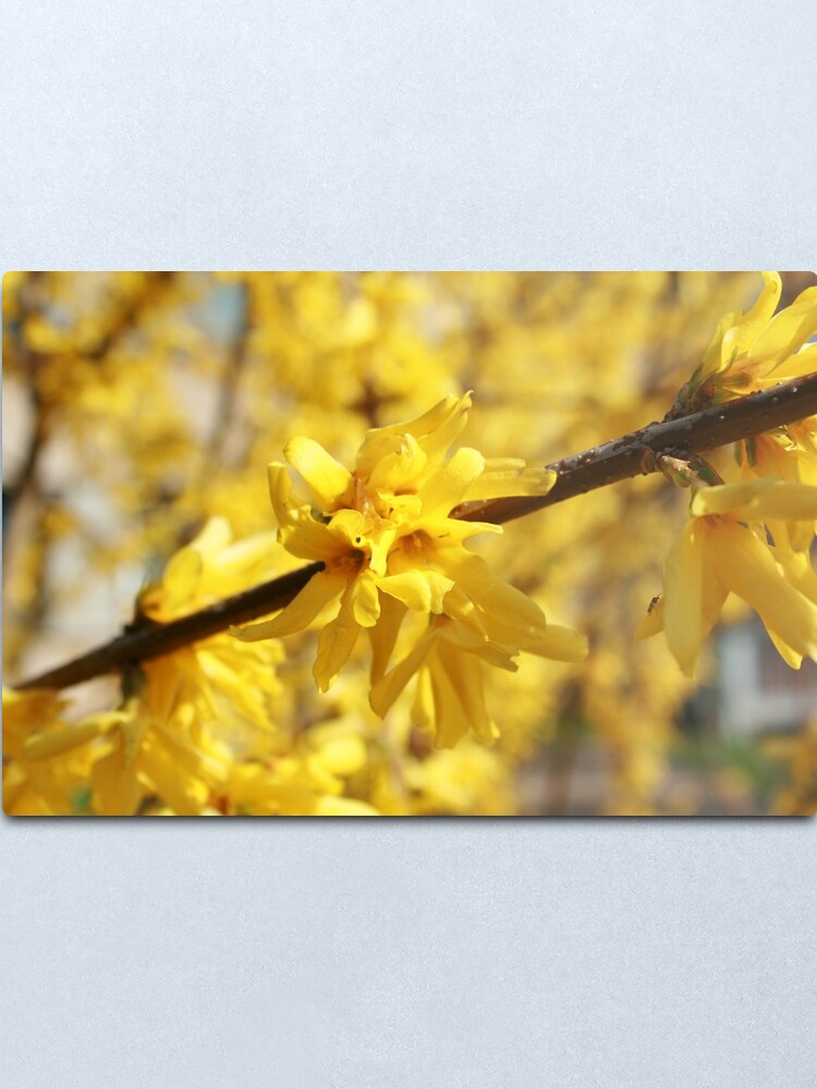 Alternate view of Light Metal Print