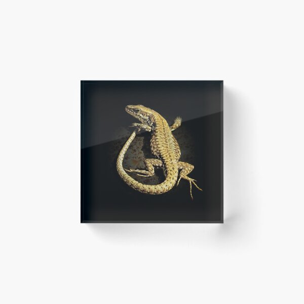 Item preview, Lizard designed and sold by Guardi71.
