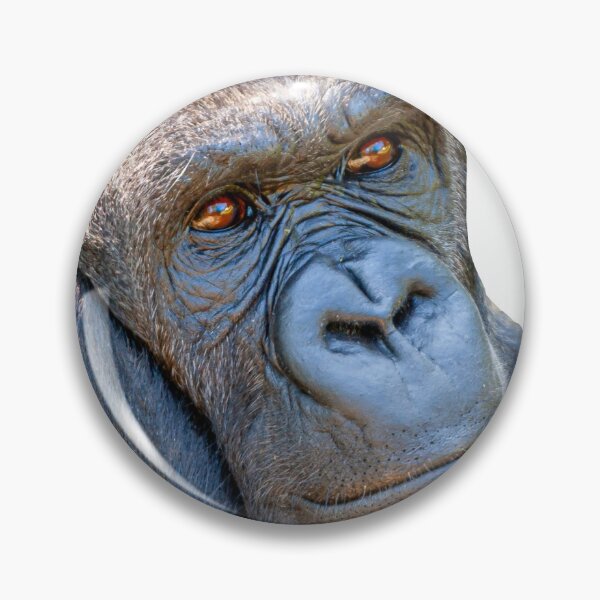 Item preview, Still Pondering Gorilla designed and sold by Dalyndigital Photography.