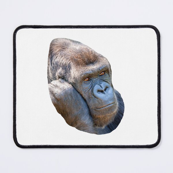 Item preview, Still Pondering Gorilla designed and sold by Dalyndigital Photography.