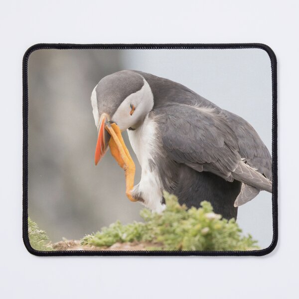 Item preview, Puffin designed and sold by LaurenTucker.