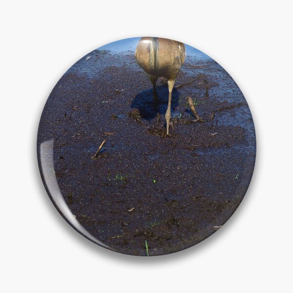 Item preview, Boggy Sandhill Crane designed and sold by MercerImages.