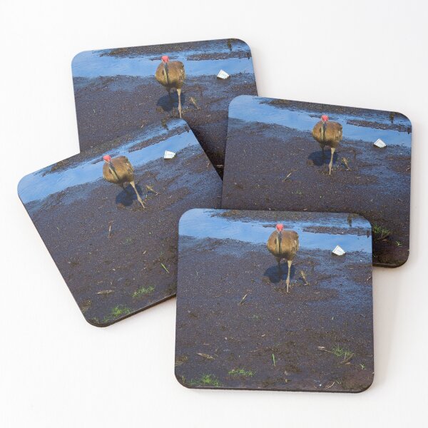 Item preview, Boggy Sandhill Crane designed and sold by MercerImages.