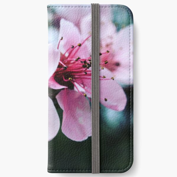 Freshness iPhone Wallet