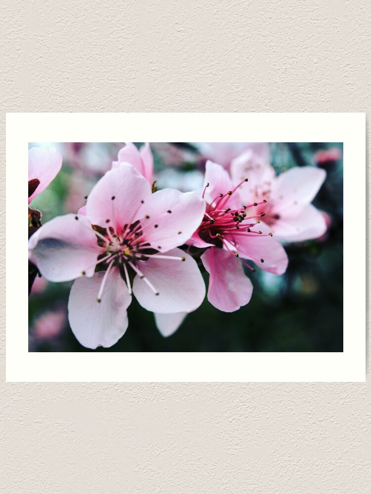 Alternate view of Freshness Art Print