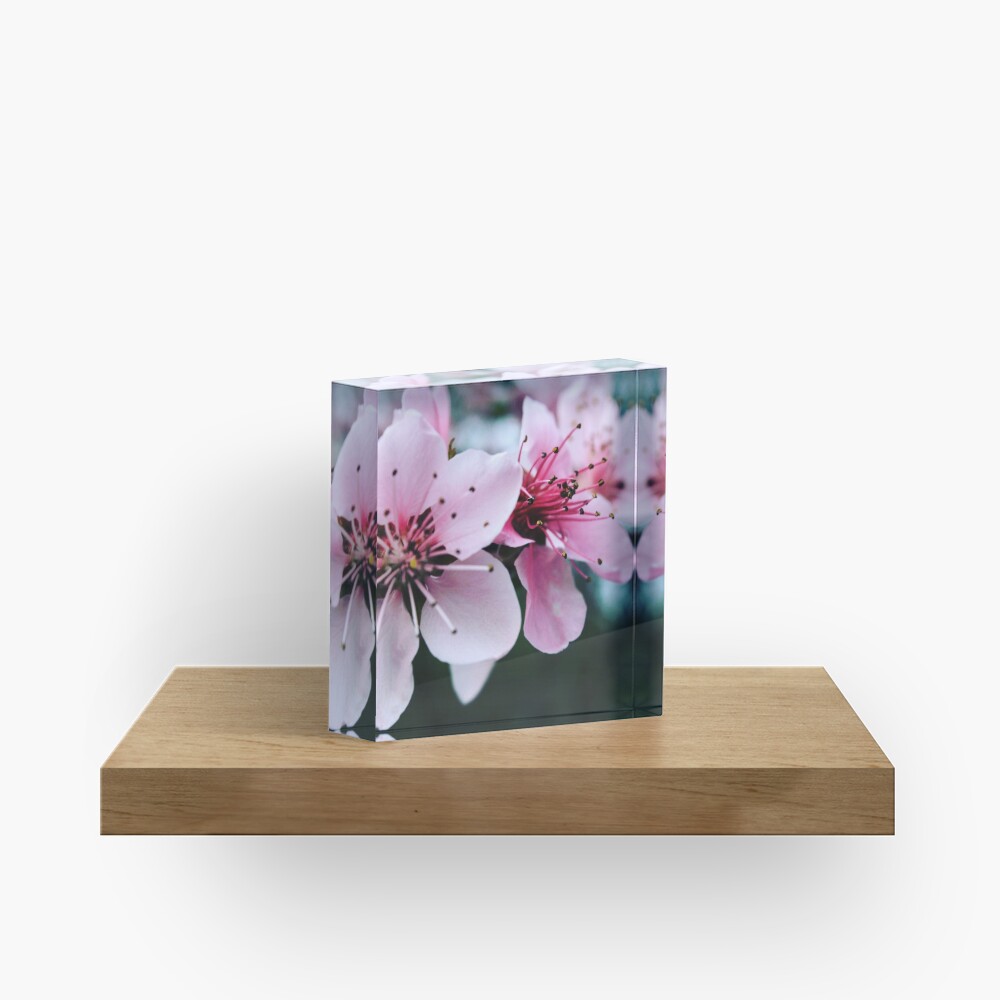 Item preview, Acrylic Block designed and sold by fan2zik.