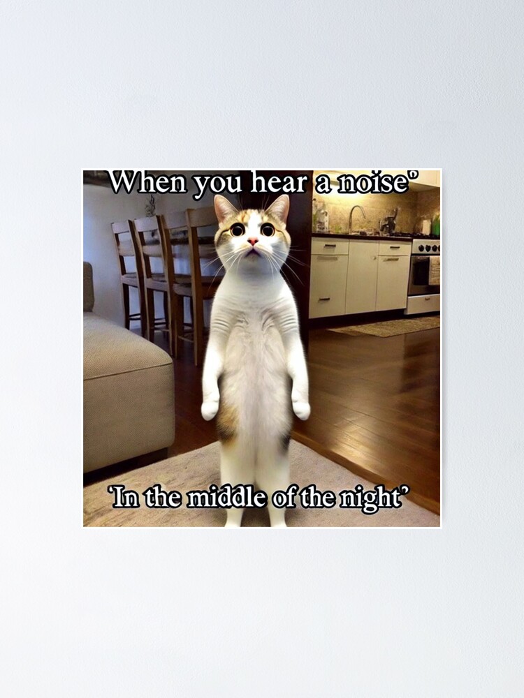 Standing Cat Meme When You Hear a Noise in the Middle of the