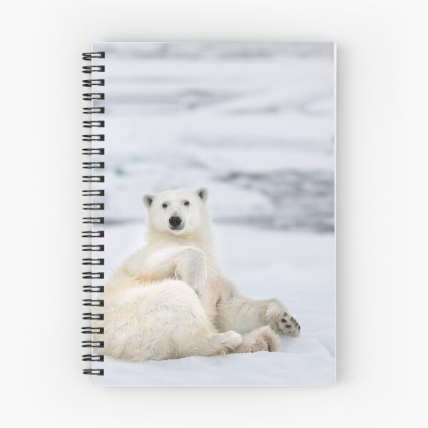 Item preview, Polar Bear designed and sold by cmm1234.