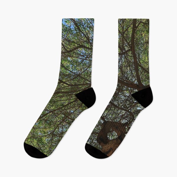 Item preview, Green Tree Canopy designed and sold by KaSaPo.
