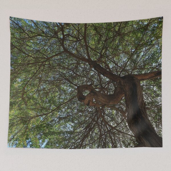 Item preview, Green Tree Canopy designed and sold by KaSaPo.
