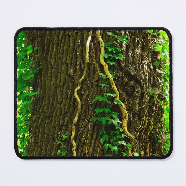 Item preview, Tree Trunk, Roots and Green Ivy designed and sold by KaSaPo.