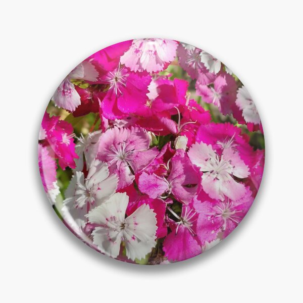 Item preview, Sweet William Flowers designed and sold by Debbie Schulte.