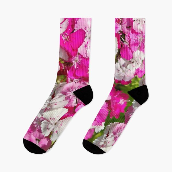 Item preview, Sweet William Flowers designed and sold by Debbie Schulte.