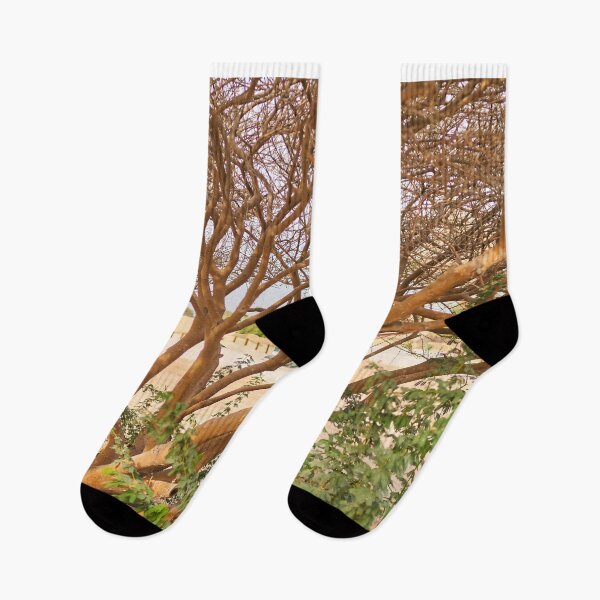 Item preview, tree in the desert designed and sold by IgorKovalenko.