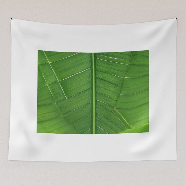Item preview, historical things  designed and sold by Amitabr14.