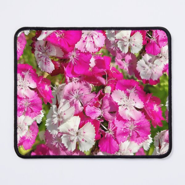 Item preview, Sweet William Flowers designed and sold by Debbie Schulte.