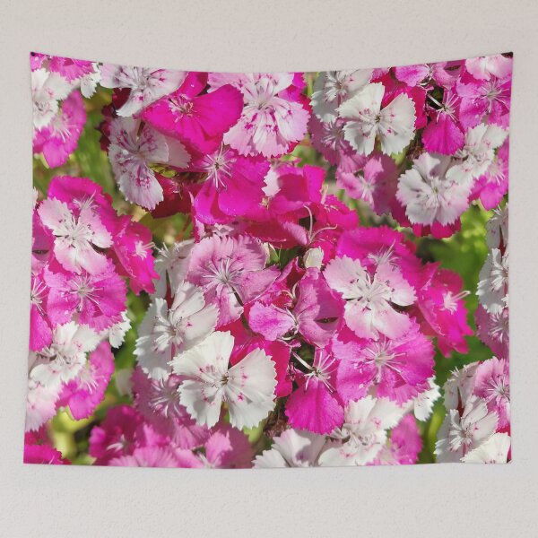 Item preview, Sweet William Flowers designed and sold by Debbie Schulte.