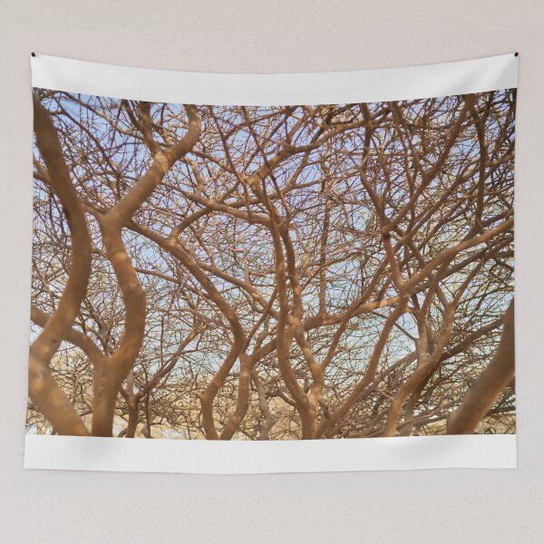 Item preview, tree in the desert designed and sold by IgorKovalenko.
