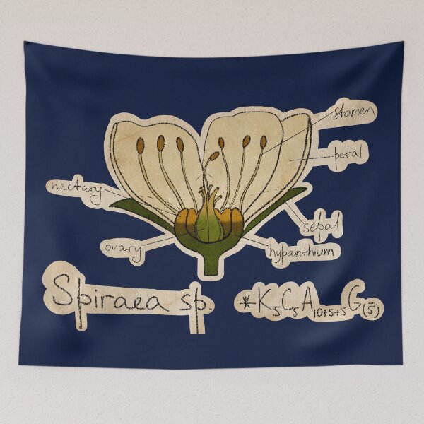 Item preview, Spiraea sp. (Cut out version) designed and sold by Erigeron-acris.