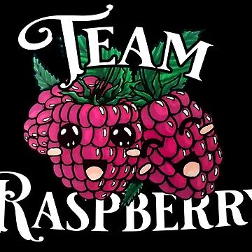 Artwork thumbnail, Team Raspberry by LunariaNox