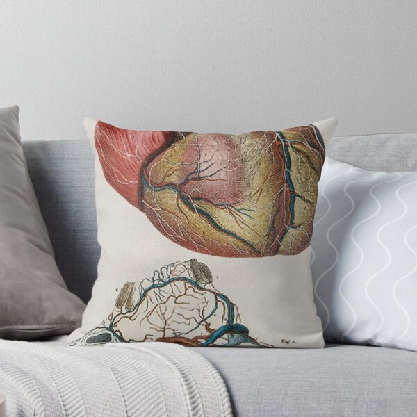 Item preview, Heart Anatomy Art designed and sold by Weird-arts.