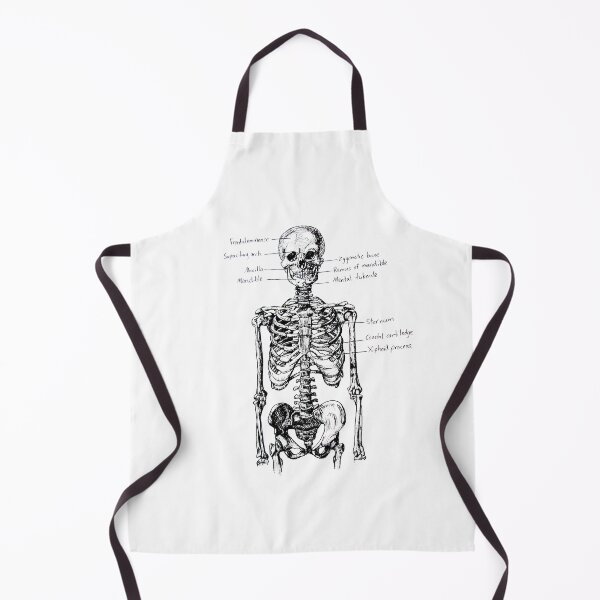 Item preview, Anatomical Skeleton Sketch Front designed and sold by Angela Rutledge.