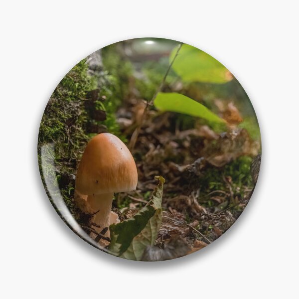 Artikelvorschau, Pilz wächst an einem Baumstumpf, Ontario entworfen und verkauft von jrtwynam.