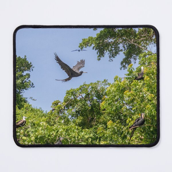Item preview, Frigate Bird Rookery designed and sold by SafariByMarisa.