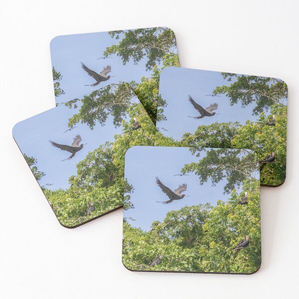 Item preview, Frigate Bird Rookery designed and sold by SafariByMarisa.
