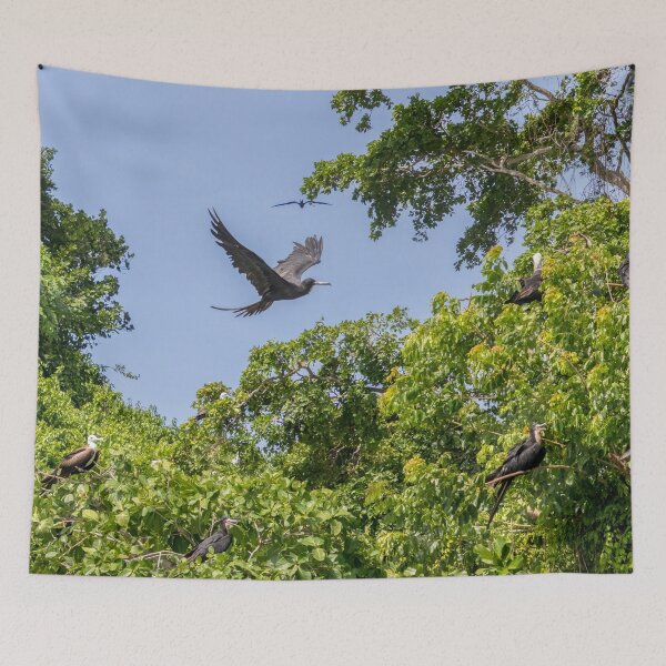 Item preview, Frigate Bird Rookery designed and sold by SafariByMarisa.