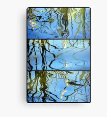 Pond Life - Triptych Metal Print