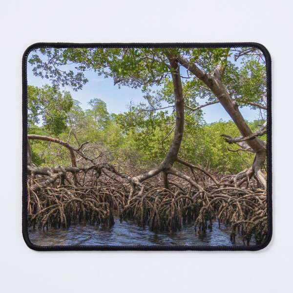 Item preview, Mangrove Roots designed and sold by SafariByMarisa.