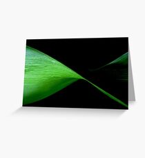 In a Twist Greeting Card