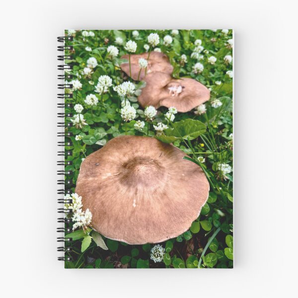 Item preview, We Mushrooms Three designed and sold by FatBearAutumn.