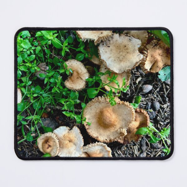 Item preview, Mushroom Cluster designed and sold by FatBearAutumn.