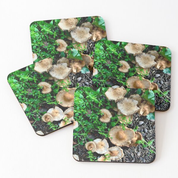 Item preview, Mushroom Cluster designed and sold by FatBearAutumn.
