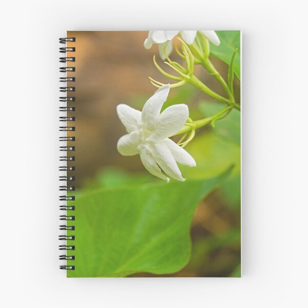Item preview, Hla Jasmine designed and sold by pcfyi.