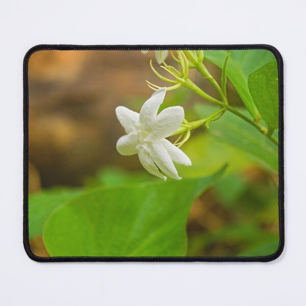 Item preview, Hla Jasmine designed and sold by pcfyi.
