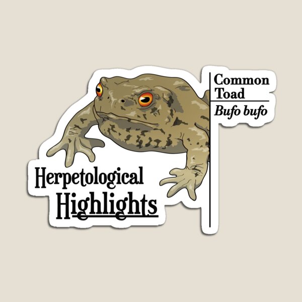 Bufo bufo - Common toad | Alternative Magnet