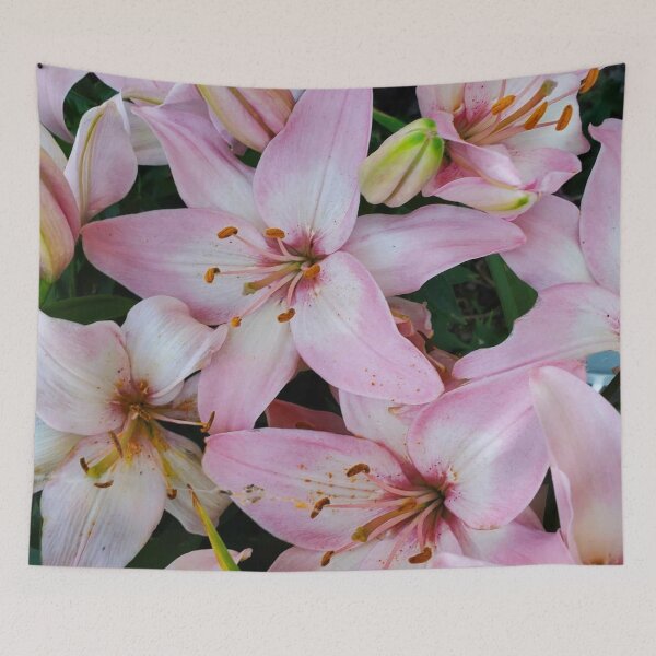Item preview, Pink Lillies designed and sold by YHWH Photography.