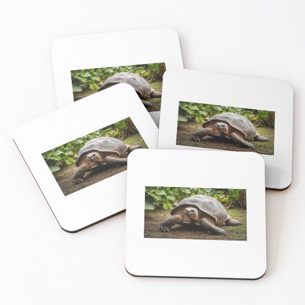 Item preview, Stunning image of a giant tortoise designed and sold by Bellas-Artes-99.