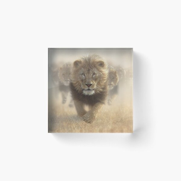 Item preview, Lions Running "Eat My Dust" designed and sold by Collin Bogle.