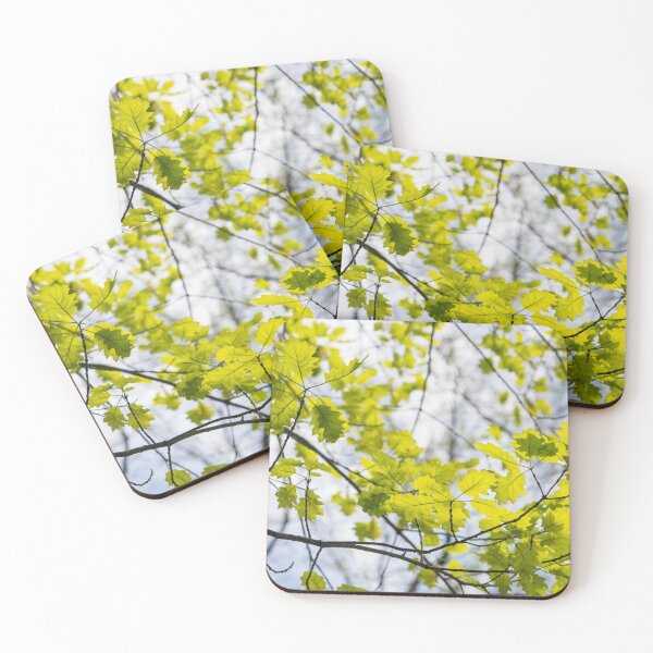 Item preview, Fresh Green Filigree of Spring - Oak Leaves and Branches designed and sold by Georgia Mizuleva.